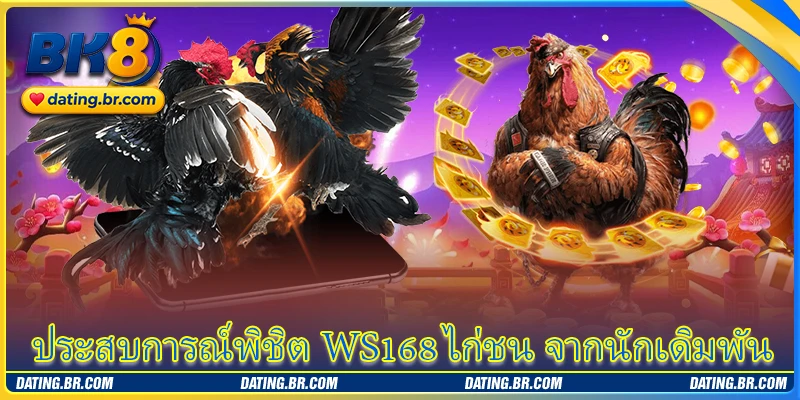 ประสบการณ์พิชิต WS168 ไก่ชน จากนักเดิมพัน