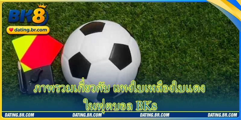 ประสบการณ์เลือก แทงใบเหลืองใบแดง ระดับสูงจากผู้เชี่ยวชาญ