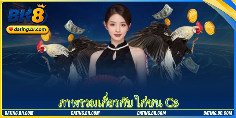ภาพรวมเกี่ยวกับ ไก่ชน C3