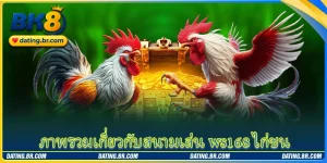 ภาพรวมเกี่ยวกับสนามเล่น ws168 ไก่ชน