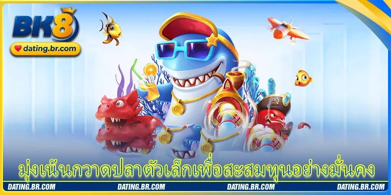 มุ่งเน้นกวาดปลาตัวเล็กเพื่อสะสมทุนอย่างมั่นคง