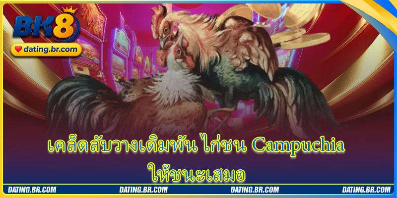 เคล็ดลับวางเดิมพัน ไก่ชน Campuchia ให้ชนะเสมอ