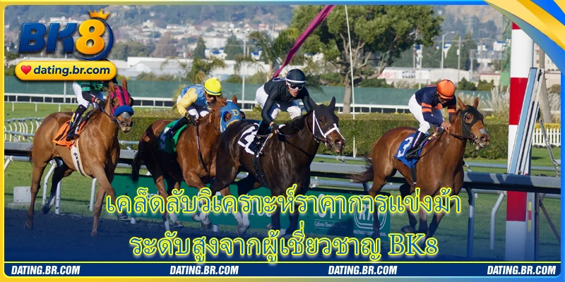 เคล็ดลับวิเคราะห์ราคาการแข่งม้าระดับสูงจากผู้เชี่ยวชาญ BK8