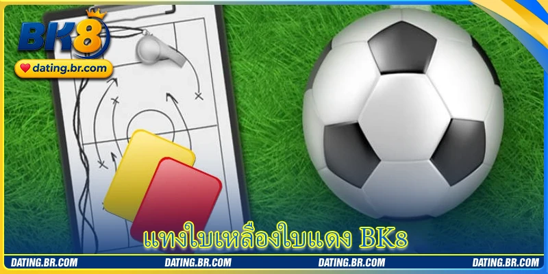 แทงใบเหลืองใบแดง BK8 - วิเคราะห์อย่างแม่นยำทุกใบกับผู้เชี่ยวชาญ