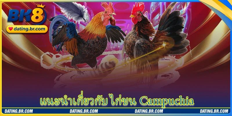 แนะนำเกี่ยวกับ ไก่ชน Campuchia