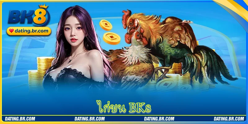 ไก่ชน BK8 - สนามเดิมพันไก่ชนที่น่าตื่นเต้นระดับแนวหน้า