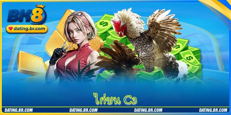 ไก่ชน C3 - การแข่งขันไก่ชนที่มีการดวลเดือดมากมาย